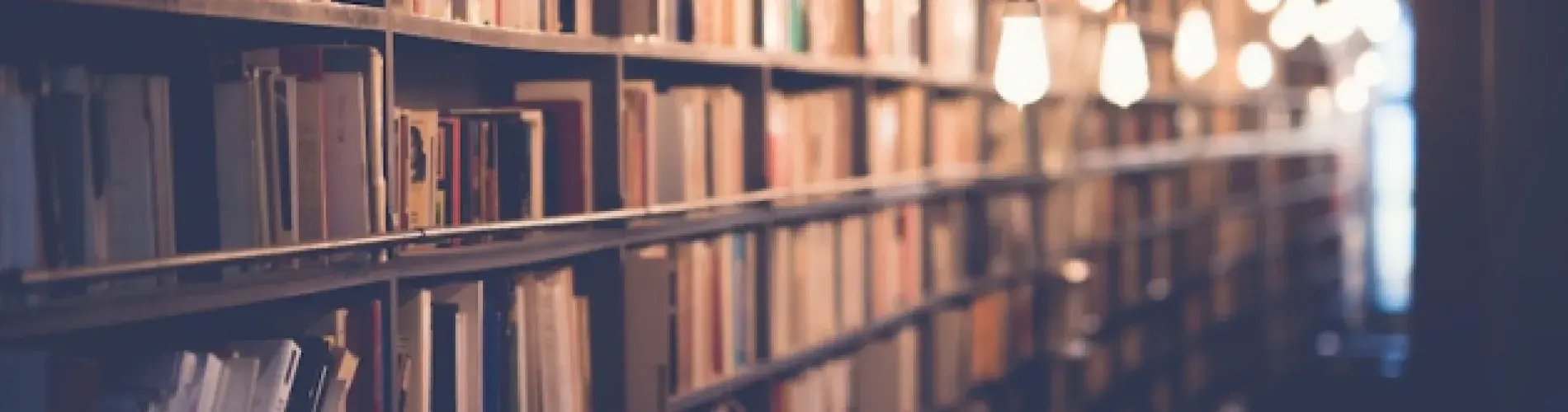 Bookshelf lined with books under warm hanging lights.