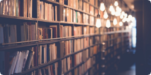 Bookshelf lined with books under warm hanging lights.